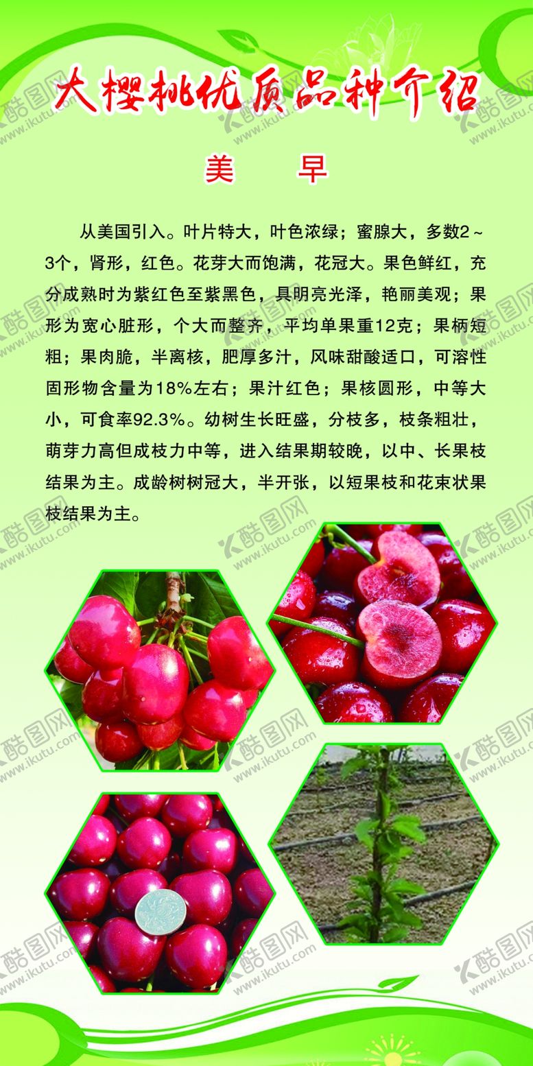 编号：92224304191718376278【酷图网】源文件下载-美早大樱桃