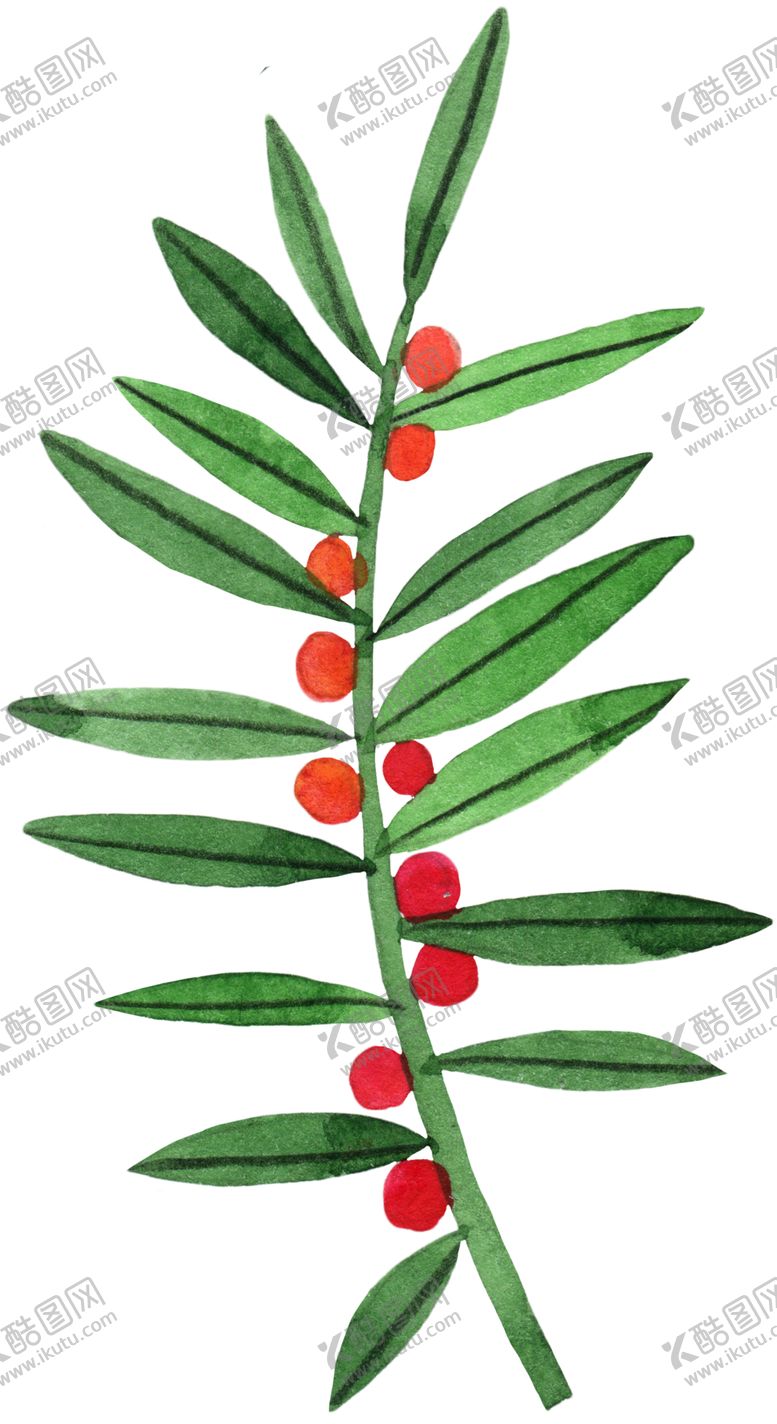 编号：94535710192344271592【酷图网】源文件下载-手绘植物叶片