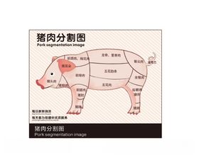 猪肉分割图