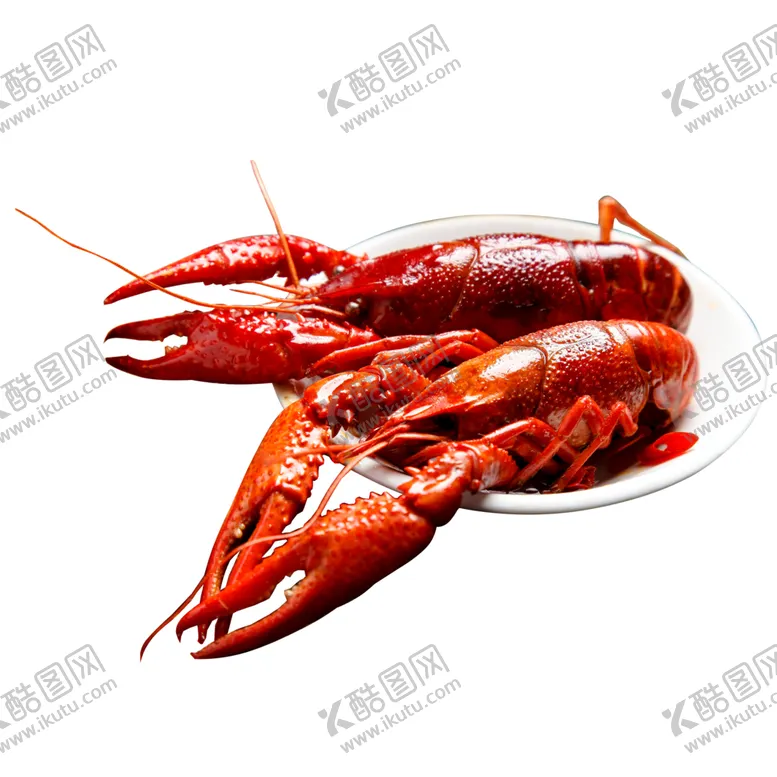 编号：17829604171121456702【酷图网】源文件下载-手绘小龙虾