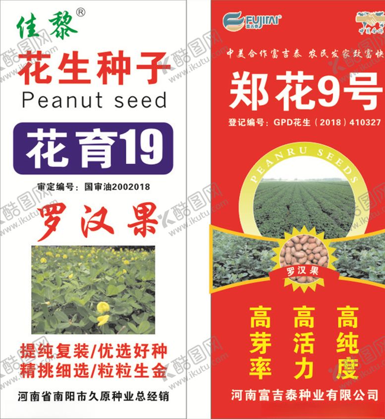 编号：30337105062114356609【酷图网】源文件下载-花生种子展架