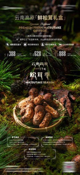 松茸礼盒海报