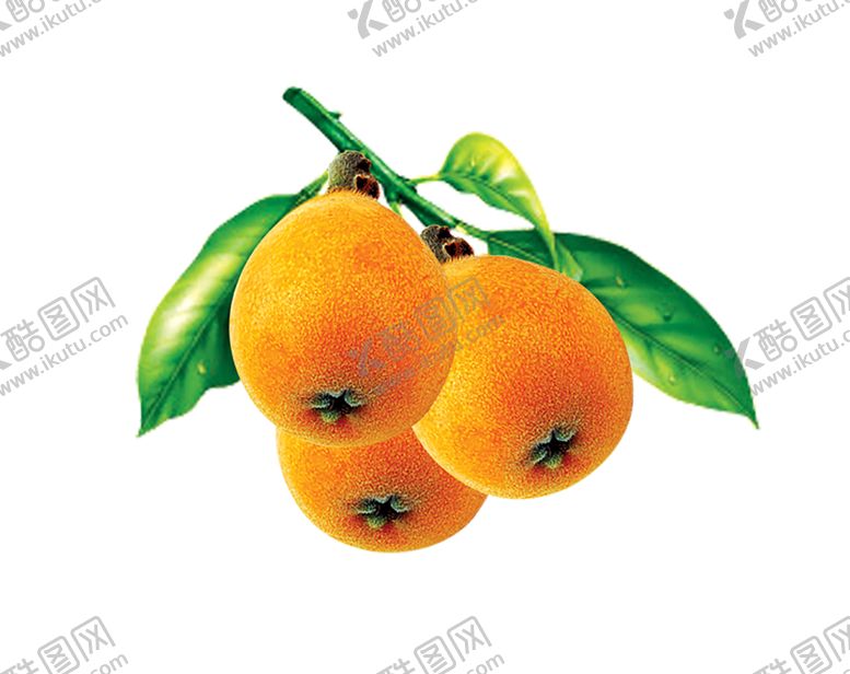 编号：41436209301938409965【酷图网】源文件下载-水果