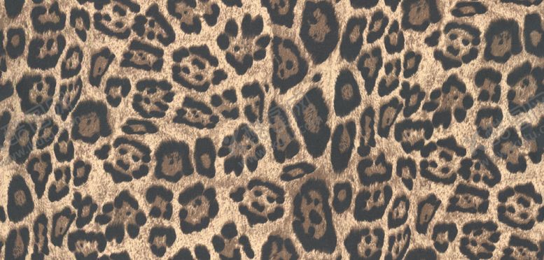 编号：82802002041511437296【酷图网】源文件下载-数码豹纹