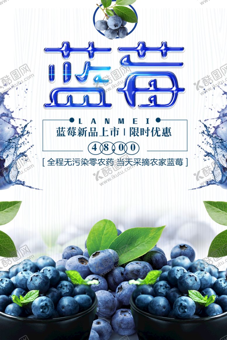 编号：52719010081706255167【酷图网】源文件下载-蓝莓
