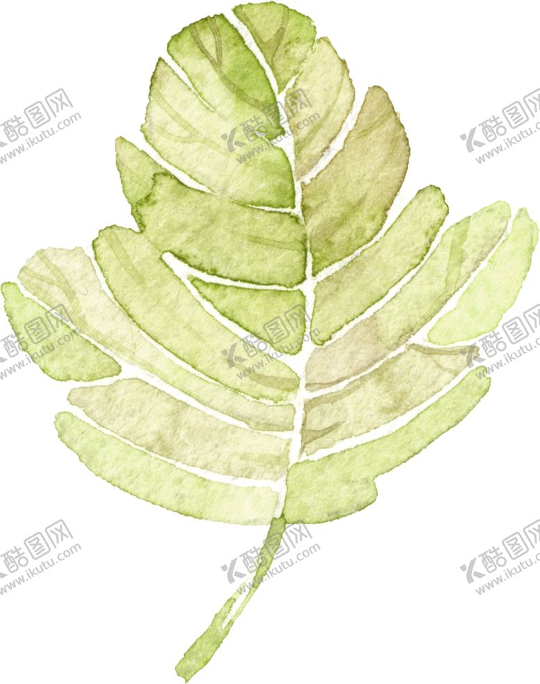 编号：86806710112029048916【酷图网】源文件下载-绿叶