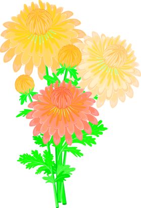 花素材朵朵底纹鲜朵小清新朵