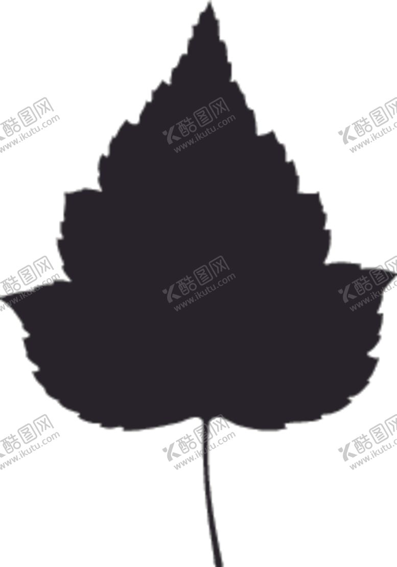 编号：57611410142022056201【酷图网】源文件下载-植物系列树叶