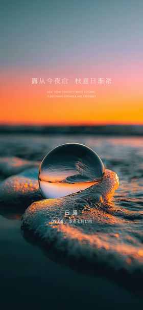 白露节气海报