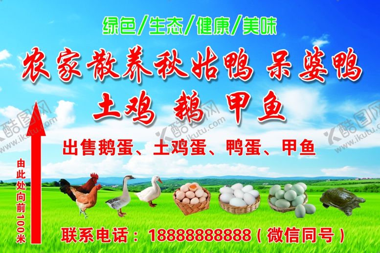 编号：30082011261402132867【酷图网】源文件下载-农家散养鸡鸭鹅