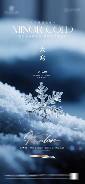 地产大寒质感节气海报