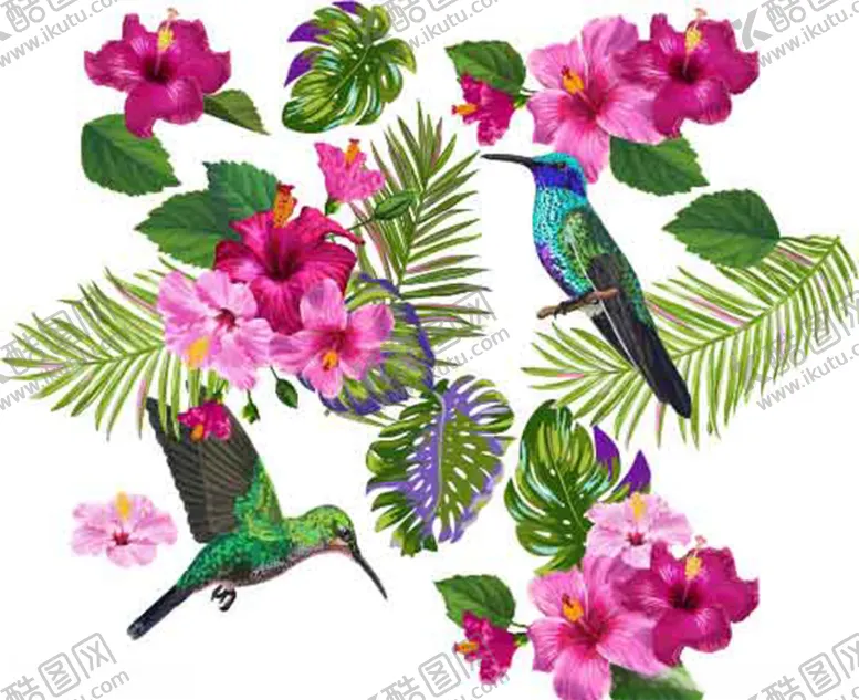 编号：16689609191315503991【酷图网】源文件下载-热带花鸟