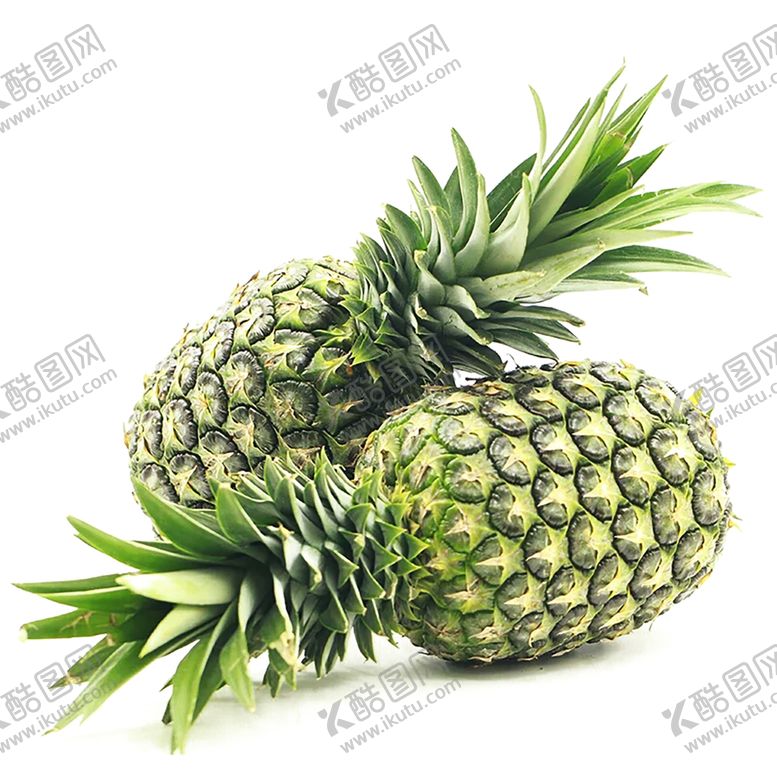 编号：35738107041105556552【酷图网】源文件下载-水果