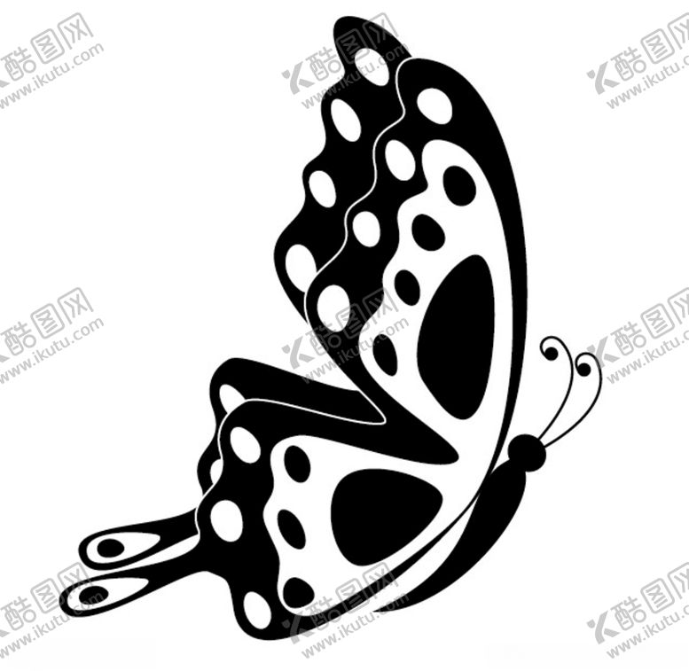 编号：46764910290331238299【酷图网】源文件下载-蝴蝶