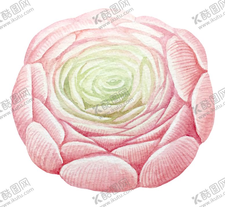 编号：91557705131500269200【酷图网】源文件下载-水彩植物