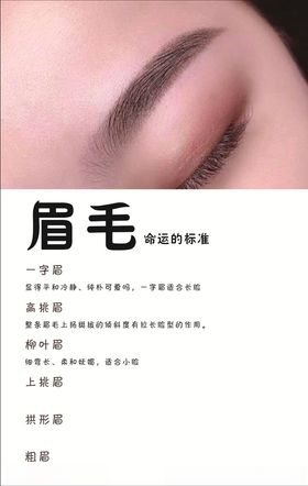 美容眉毛