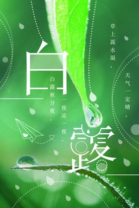 白露节气清新海报