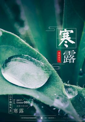 寒露海报