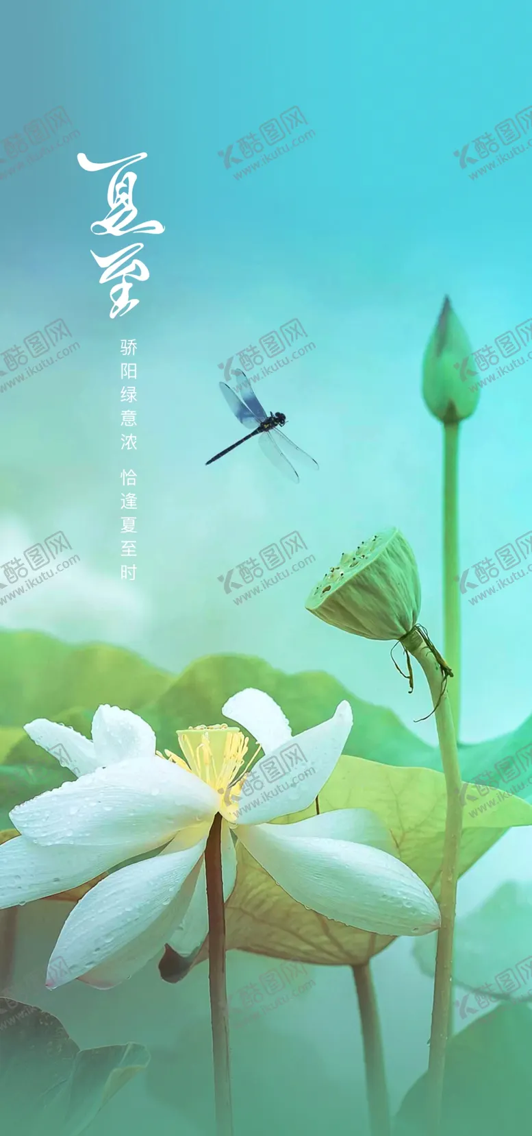 编号：20431909250302065479【酷图网】源文件下载-夏至 微信稿