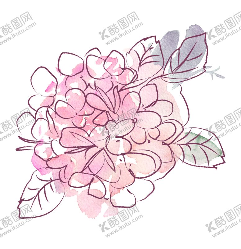 编号：58943106260531513499【酷图网】源文件下载-植物手绘水彩