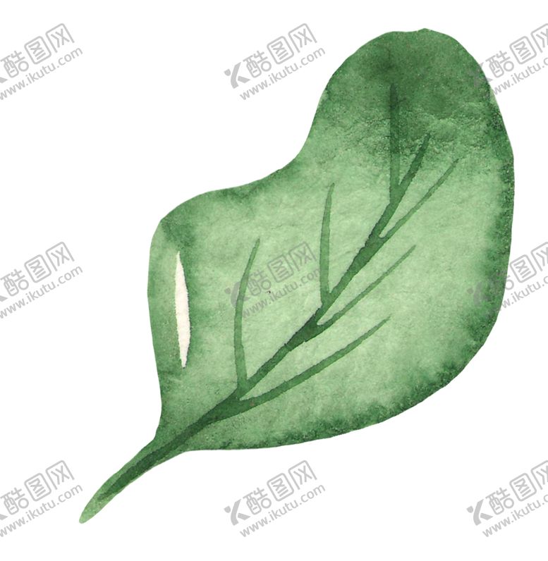 编号：10264707060701479989【酷图网】源文件下载-水彩绘画绿叶
