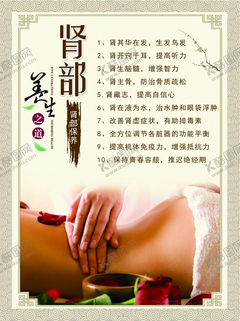 编号：69625506182157504925【酷图网】源文件下载-肾部保养