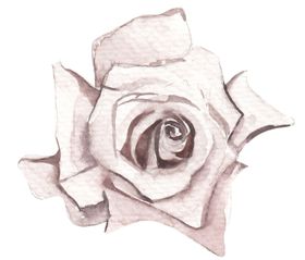 北欧小清新水彩植物图案装饰插画绿叶装饰