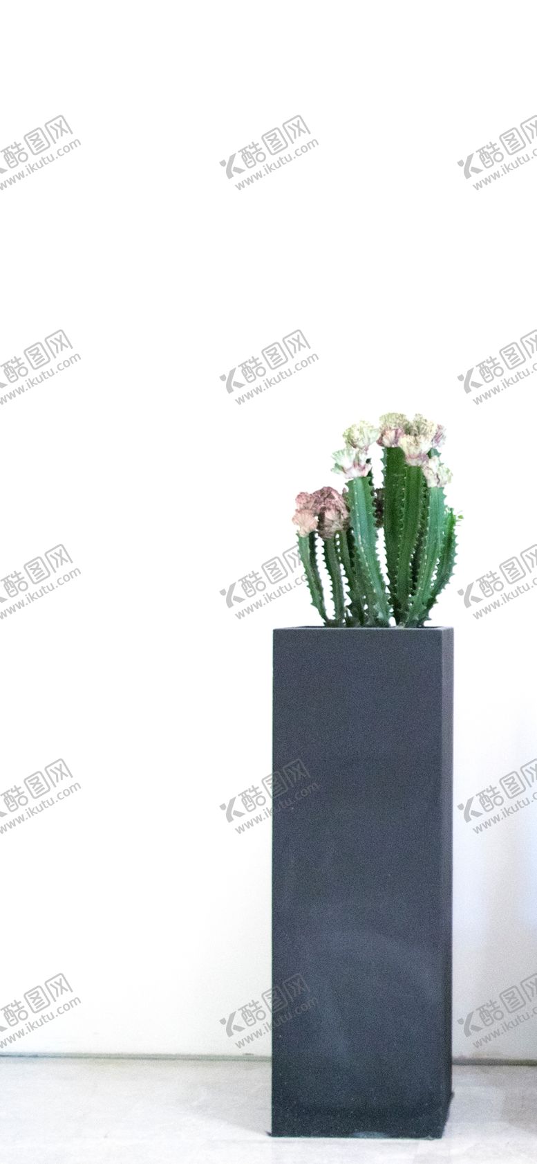 编号：13850510172349071663【酷图网】源文件下载-手机壁纸