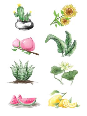 仙人掌绿植插画素材