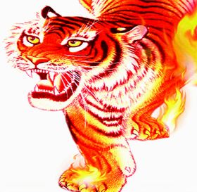 老虎老虎图片老虎像
