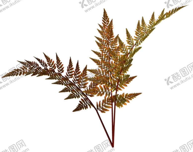 编号：77094609200857346724【酷图网】源文件下载-鲜花素材