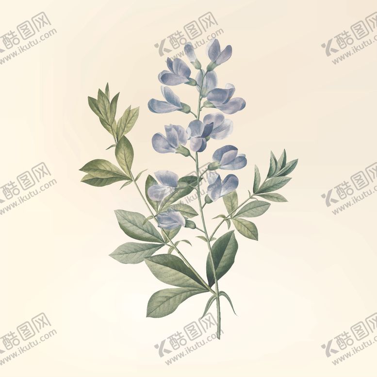 编号：24544607090434239689【酷图网】源文件下载-花纹