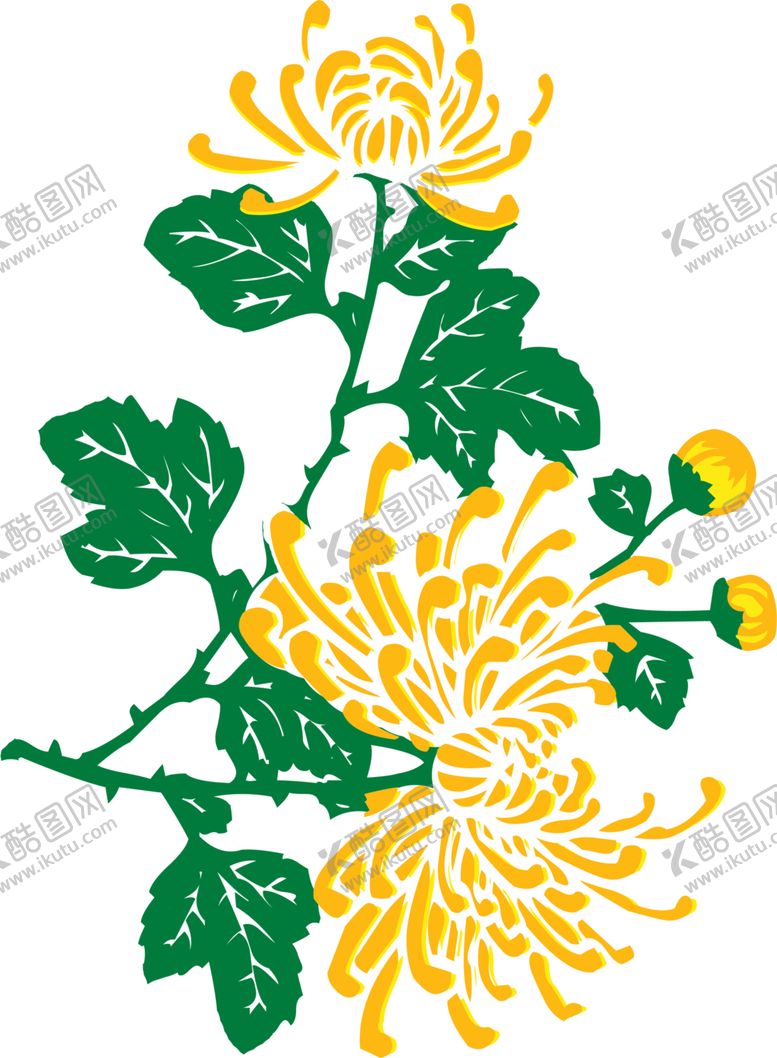 编号：77989506261439562050【酷图网】源文件下载-菊花素材