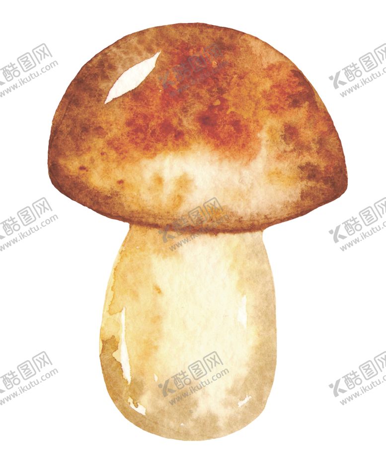 编号：43639210271823525191【酷图网】源文件下载-秋天水彩插画森林元素