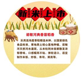 粮食大米介绍