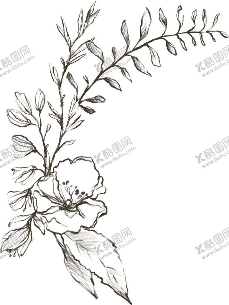 编号：97797510300804405414【酷图网】源文件下载-彩绘植物边框