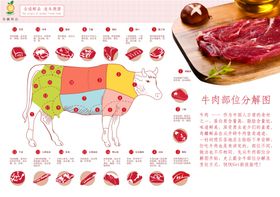 牛肉解剖图