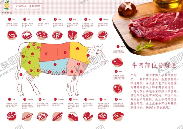 编号：95973510210035132805【酷图网】源文件下载-牛肉解剖图