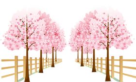 樱花装饰素材