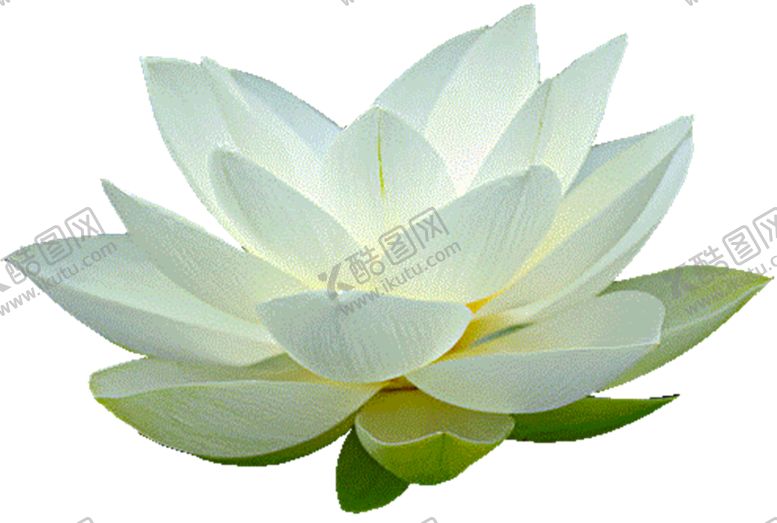 编号：87922710221014582718【酷图网】源文件下载-莲花