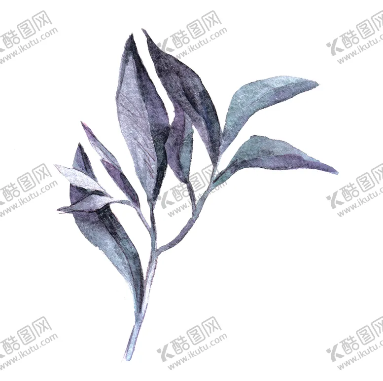 编号：47454106281929574561【酷图网】源文件下载-水彩植物