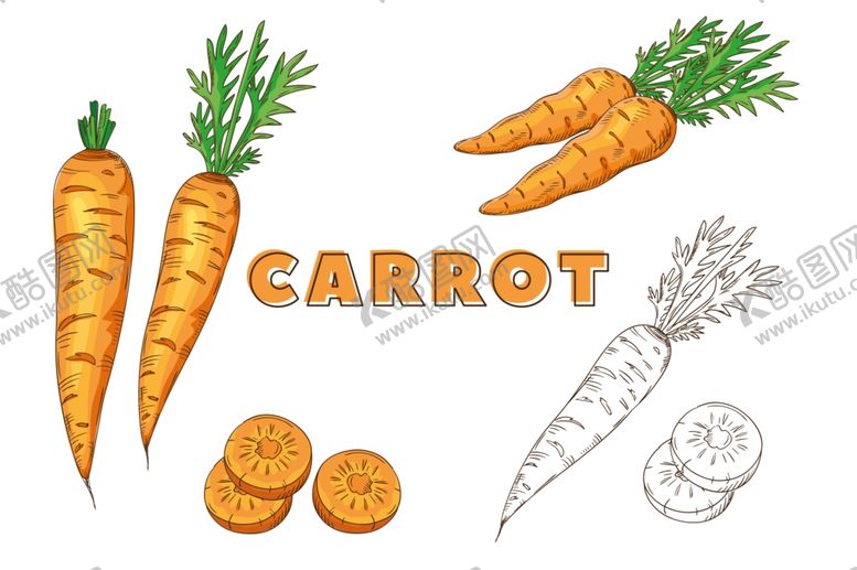 编号：23483709191449505389【酷图网】源文件下载-矢量蔬菜
