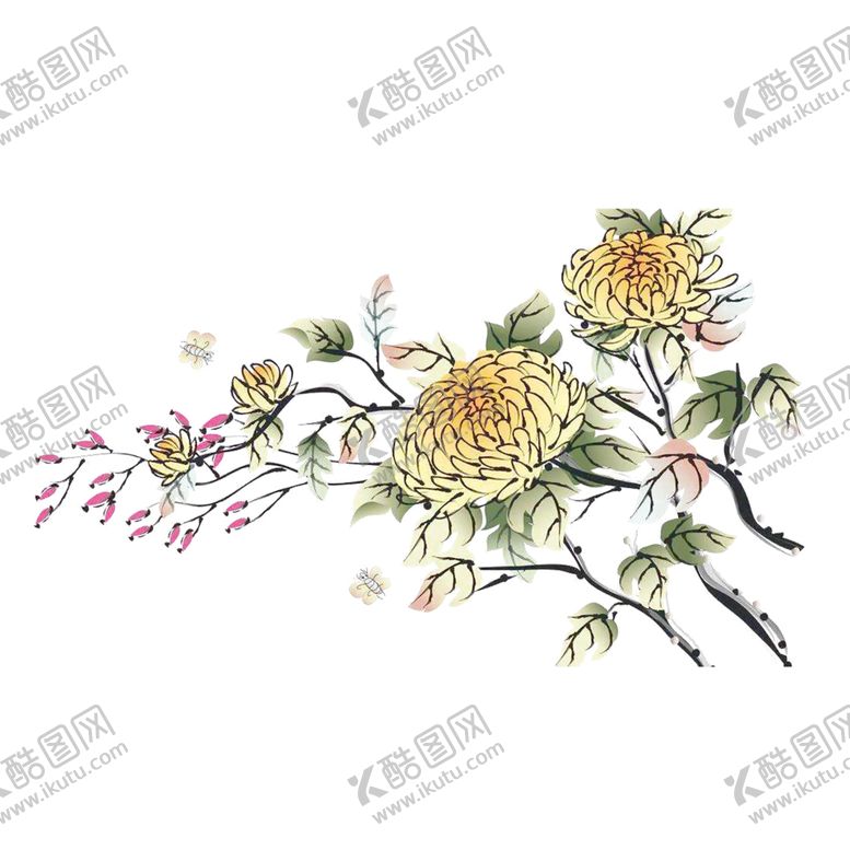 编号：78786109230321044381【酷图网】源文件下载-国画菊花