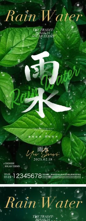 雨水节气海报植物树叶滴二十四