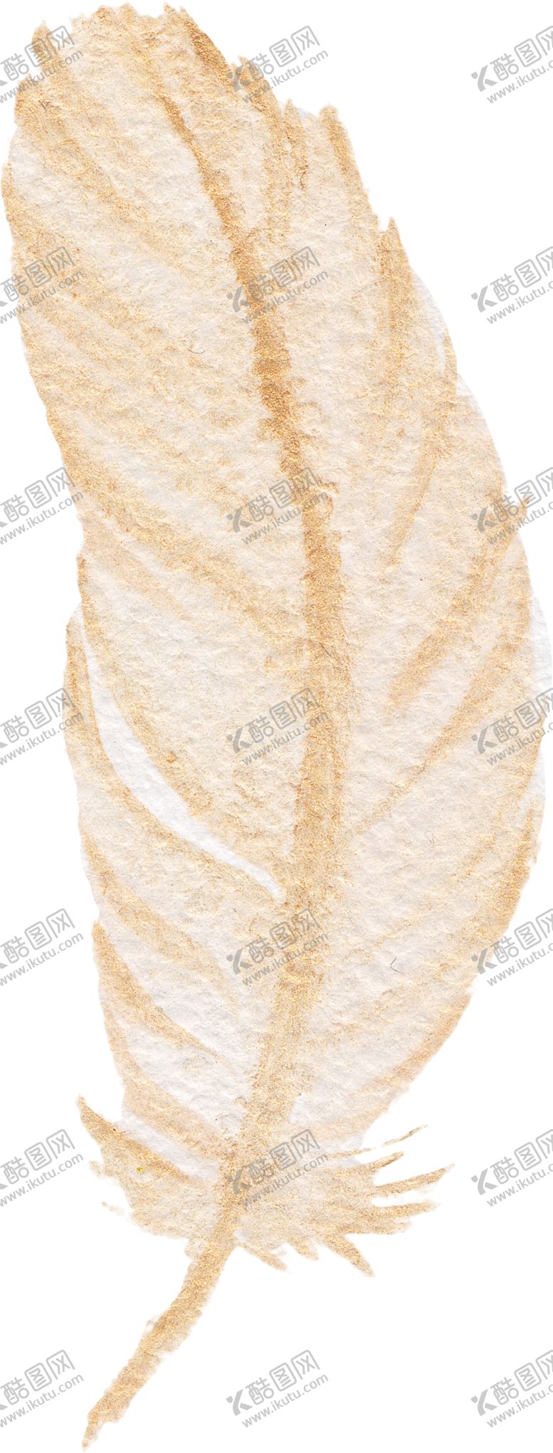 编号：31155510110519067937【酷图网】源文件下载-手绘水彩羽毛