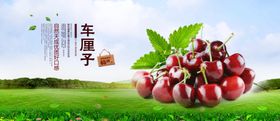 车厘子