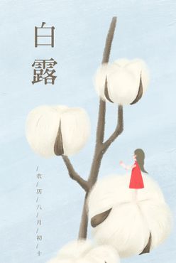 白露节气棉花女孩