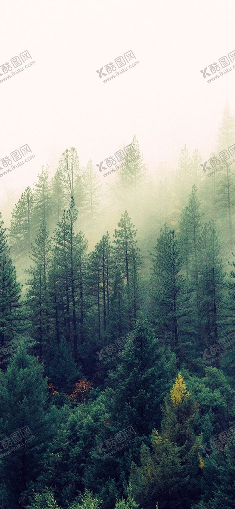 编号：72434710071817455981【酷图网】源文件下载-手机壁纸