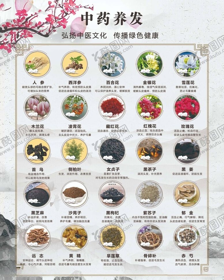 编号：74189506291855592608【酷图网】源文件下载-养发中药分类展示图