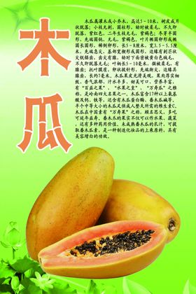水果文化系列之木瓜